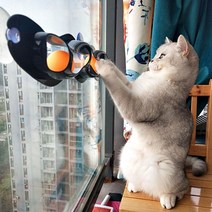 [kiwiq]고양이 반려묘 소형 캣타워 슬라이드 스크래쳐 _ 100EA, kiwiq1 1, kiwiq1 본상품선택
