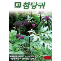 (씨앗) 참당귀 - 뿌리당귀 - 약용 당귀 씨앗 종자 - 소포장 1g