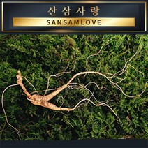 산삼사랑 산양삼 12년근 15년근 장뇌삼 산양산삼 천종 자연산산삼, 5번_(S급) 15년근 2뿌리 [한박스포장]