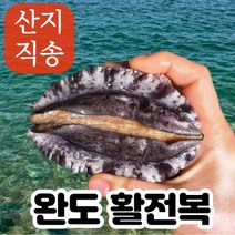 [김씨네] 완도 활 전복 산지직송 산소포장 대형 소형 중형, 중 13미~16미 1kg