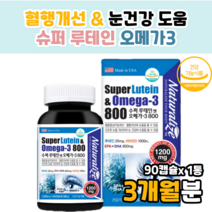 루테린 눈 피로 장시간 컴퓨터 눈 영양제 루테인 효과 효능 먹는법 복용법