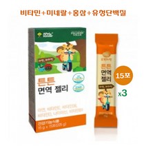 성장기 어린이 튼튼 면역젤리 구미 제리 츄어블 키즈 유아 아동 영양제 종합 멀티 비타민 미네랄 아연 홍삼 유청 단백질 면역력