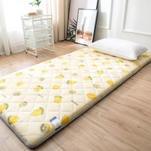 SKANDSALO 다다미 뉴타입 침대매트 편리한침대 두꺼운보호 접이식 매트 싱글 매직 히트상품, D