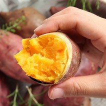 해뜨온 거산 호박고구마(10kg), 왕