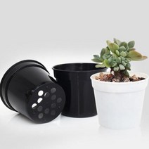 플라스틱화분 5/20x 미니 플라스틱 보육 식물 성장 냄비 상자 라운드 꽃 컵 컨테이너 홈 화분 정원 용품 씨앗 Succulents a1, [01] 10pcs, [02] Black