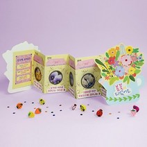 어린이 북아트 봄꽃 DIY 자연관찰책 2개 학교 수업자료 스쿨링