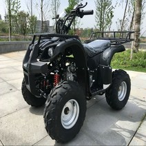 4륜 산악 농업 산업용 다용도 오토바이 ATV 오프로드 스포츠카 사이즈 불 125 샤프트 드라이브 어른 전동 렌탈 전지형, 검은색