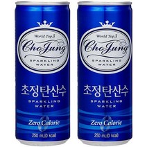 초정탄산수 플레인 250ml x 60캔 탄산수 탄산음료