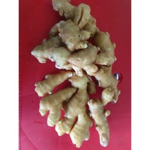 수입생강(중국산생강)10kg 은진농산(주)
