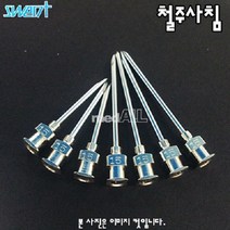 병원 유리주사기호환 과학실험실 12개/1타/1인치 인도제품 동물병원, 22G