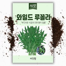 헬프팜 로켓샐러드 1000립 아람종묘 와일드루꼴라 씨앗, 1개
