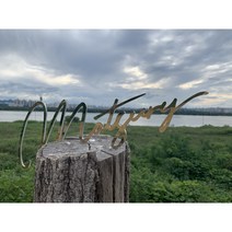 티타늄 골드 스카시 디자인 현판