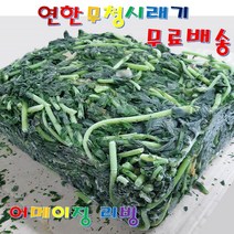 삶은 무청시래기 10Kg 20+ 사은품 국산 무청 시래기 업소용 벌크 식당용 건조하지않아 연하고 부드럽습니다 반찬 나물 무시래기 우거지 무청시래기국 시래기밥 된장국 나물볶음 감자탕, 1팩