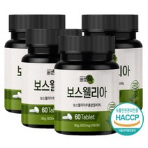 식약처인증 보스 웰리아 추출 분말 추출물 정 캡슐 알약 HACCP 부스 보쓰 보수 보시 엘리아 엘리야 왤리아 왤리야 웰리어 앨리아 앨리야 추천 효능, 60정 x 4통