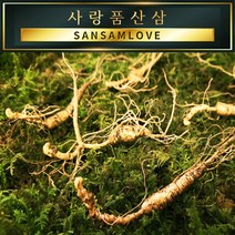 사랑품산삼 산양산삼 산양삼 장뇌삼 8-20년근 자연산 모양 산삼사랑, 20번_산양삼 (S급) 15년근 4뿌리