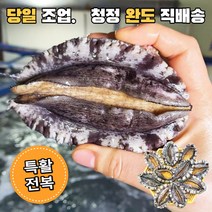 완도 활전복 산지직송 산소포장 살아있는 전복 1kg 14~16미 17~20미, 완도 활전복 2kg (14~16미), 1개