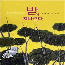 새책-스테이책터 [밤이 지나간다] -2000년대 이후 한국소설 출간 20130812 판형 145x210 쪽수 252, 밤이 지나간다