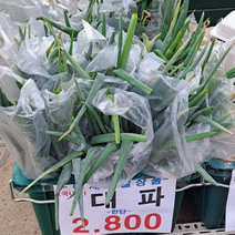SE86 세은산업 대파봉투(700P20X70) 파비닐 파봉지 야채가게 과일 도매, SE37대파봉투700P19(28X70)보라