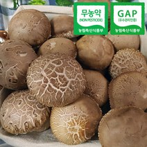 무농약 & GAP인증 송화버섯 1kg(중급형), 단품