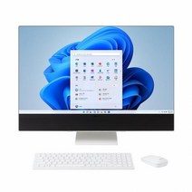 LG전자 27V70Q-GA70K (WIN11홈) 일체형PC + RAM 8GB 추가 (총16GB) + SSD 500GB 추가