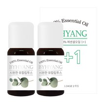 바이향 에센셜 오일 10ml x 2p, 시원한 유칼립투스