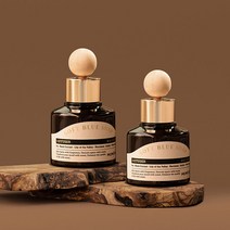 [NEW] 멈칫 바이오톡스 차량용디퓨저 2개입 80ml 4종 택1, 소프트블루솝 80ml