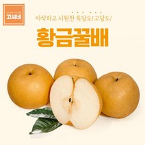 고씨네 프리미엄 배5kg 배 배가격 배주스 황금배 배즙, 본상품