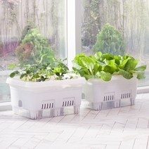 이즈리빙 하우스버디 100% 국내산 우리집 베란다 텃밭가꾸기 화분 홈가드닝 2colors, 텃밭화분그린