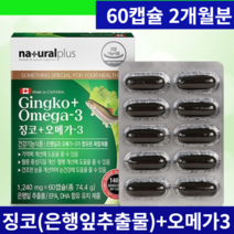 내츄럴플러스 징코 오메가3 은행추출물 플라보놀배당체 GINKGO