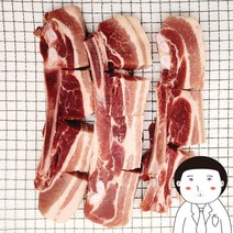 신나는 고기왕 돈대갈비 돼지갈비 생고기 캠핑고기 구이용 1kg +시즈닝 3종