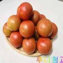 후니청과 신선한[특품]완숙 찰토마토(동양종), 1box, 5kg(4번)동양종