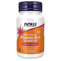 NOW 나우 vitamin D3 비타민D3 10000IU 조인트 서포트 하이포텐시 240정