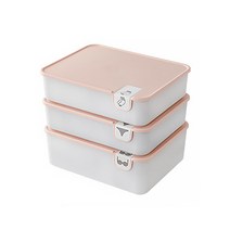 속옷 양말 정리함, 10칸_핑크