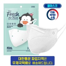 더숨 에버 프레쉬 에어 새부리형 황사 마스크 소형 KF80, 50매, 화이트