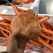 포항 구룡포 산지직송 자숙 연지 홍게 3kg 10~13마리, (고급형) 특 A급 3kg (12미 내외)