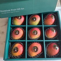 [명절선물] 애플망고 항공수입 고당도 선물세트, 애플망고 9과 선물용