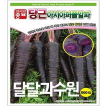 아시아종묘 아시아퍼플알파 자색 당근 씨앗 자색당근 씨앗종자, 500개