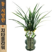 치타플라워 동양란 황룡관 [CD06-004] 승진 개업 축하 난 동양난 영전 취임 생일 선물 화분 고급 란 전국 당일 배송 꽃배달