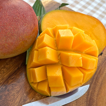 페루직송 고당도 애플망고 로얄과, 애플망고 4kg (8과수내외)