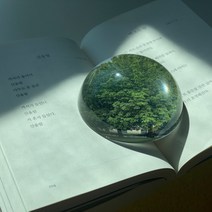 리먼트 유리 크리스탈 문진 인테리어 문진 오브제, 2.나무, S