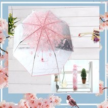 꽃길만 걸으세요 투명 벚꽃 자동3단우산 체리 블라썸우산