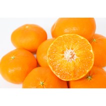 제주 제주도 고당도 명품 레드향 3kg 5kg 프리미엄5kg, 1박스, 3kg (9-16과수)