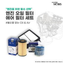 아반떼 AD HD MD 순정 에어클리너 오일필터 세트, AD 디젤