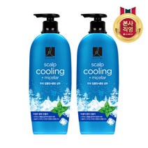 LG생활건강 엘라스틴 두피 딥클린 쿨링 샴푸 680ml x2개, 단품없음, 옵션선택