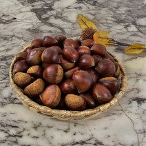 23년 햇밤 공주밤 공주알밤 공주맛밤, 공주햇밤 1KG(특/개당 25G이상), 1개