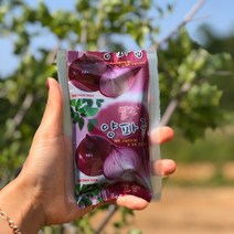 해남땅끝 오디자색양파즙, 1box, 60포(한달분)