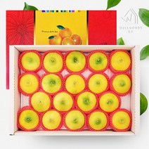 [웰굿]제주 프리미엄 황금향 선물세트 3kg(10과내외)