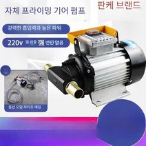 기어펌프 오일 스테인레스 모터 기어 디젤 기름 스텐, 550w220v기어펌프+6m강선파이프