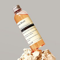 딥블러쉬 실내 방향제 디퓨저 리필 150ml, 멜라그라노, 1개