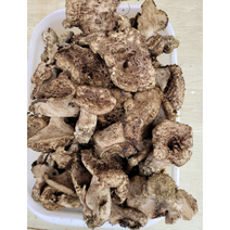 자연산 능이버섯 건조능이 100g C급 말린능이버섯 삼계탕재료 히말라야 청정지역 티벳 제배 건조능이버섯, 1개, 건조능이버섯 C급 100g